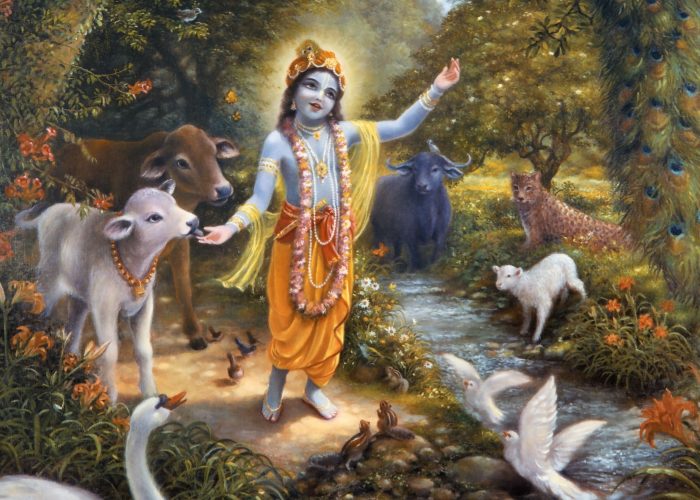Krishna inmitten von Kühen, Pfauen und anderen Tieren in Vrindavana